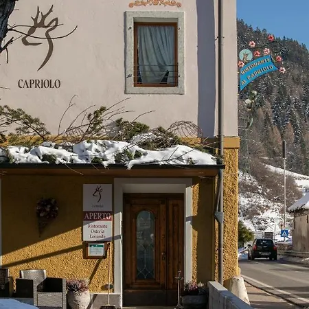 Al Capriolo Hotell Vodo Cadore
