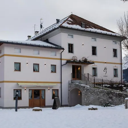 ホテル Al Capriolo Vodo Cadore