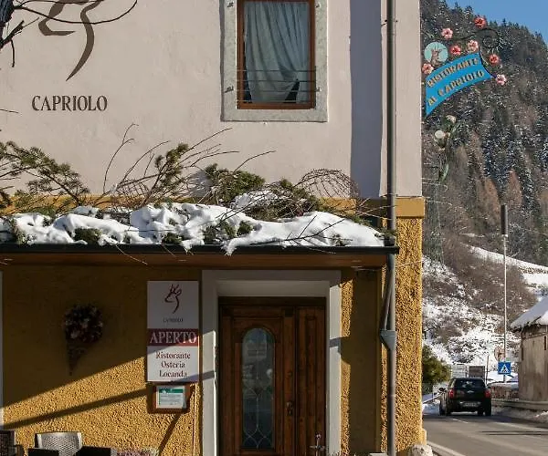 Al Capriolo Hotel Vodo Cadore